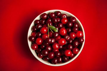 red cherry in a white plate on a red background