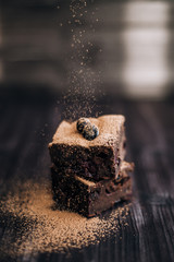 brownie cake sprinkled with ground cocoa on a dark background