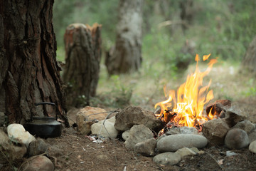 Campfire and tea pot