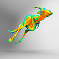 Kangaroo © Julien Tromeur