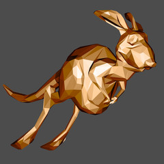 Kangaroo © Julien Tromeur