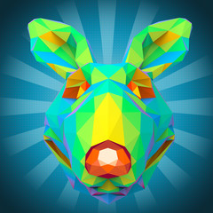 Kangaroo © Julien Tromeur