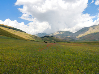 Landscape of the Plains of Castelluccio that are a karstic and alluvial plateau of the Umbro-Marchigiano Apennines (Italy). Castelluccio di Norcia is famous for the cultivation of lentils.