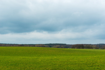 green field and cloudy sky