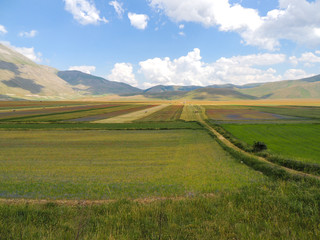 The colors of the lentils fields in Castelluccio di Norcia (Park of Sibillini Mountains) in Umbria, Italy.