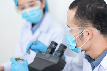 Fototapeta premium Collaboration of researchers in the laboratory For alternative energy research