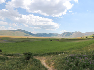 Obraz premium Summer view from the park of Sibillini mountains between Umbria and Marche in Italy.