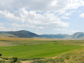 Plains of Castelluccio di Norcia and park of 