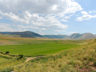 Obraz premium The plains of Castelluccio di Norcia in the national park of 