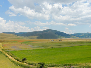 Fototapeta premium Plains of Castelluccio between the Sibillini mountains in Umbria, Italy.