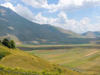 Flowering fields of Castelluccio di Norcia in the park of Sibillini in Umbria, Italy.