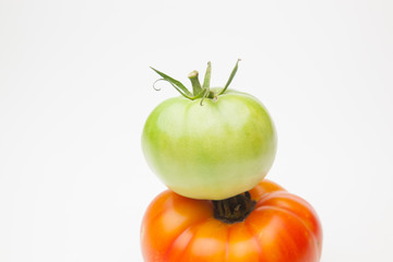 Tomate verde y tomate maduro de color rojo. El tomate verde madurará fuera de la planta el tomate rojo ha sido cogido para ser consumido de forma inminente. El tomate se puede comer crudo o cocinado