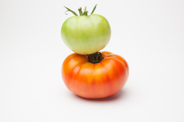 Tomate verde y tomate maduro de color rojo. El tomate verde madurará fuera de la planta el tomate rojo ha sido cogido para ser consumido de forma inminente. El tomate se puede comer crudo o cocinado