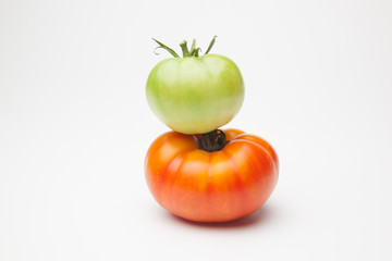 Proceso de maduración del tomate, se recoge verde de la planta y se deja madurar fuera, en neveras para que llegue y se mantenga fresco durante mucho tiempo