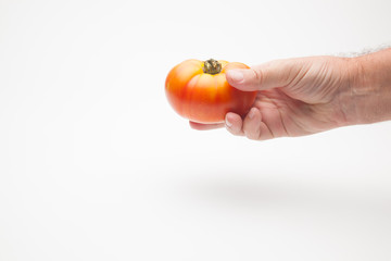 Tomate en la mano de una persona adulta. Tomate sobre fondo blanco y en la mano derecha de un ser humano. Tomate saludable, ecológico preparado para ser vendido o comido o cocinado.