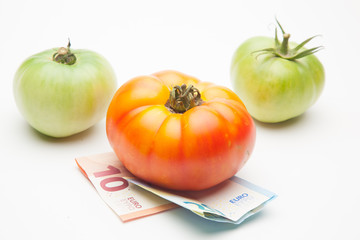 Tomates, fruta y dinero al lado, el precio de los productos, la venta de los productos, lo que cuesta la agricultura. El precio de la cosecha. Lo que nos cuestan las cosas