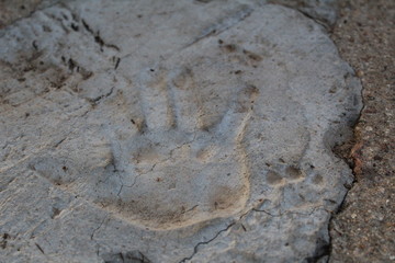 photo imprint of a human hand and dog paw