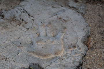 photo imprint of a human hand and dog paw