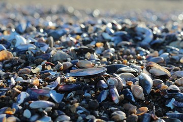 Superfície da praia