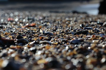 superfície da praia 