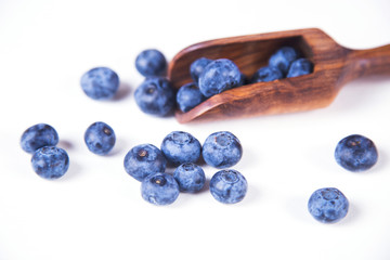 fresh blueberry in studio