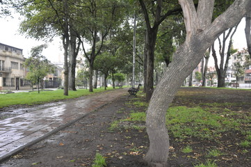 PAISAJISMO