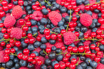 background of fresh berries. Raspberry currant blueberry