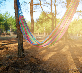  textile hammock hanging between two pines in the forest