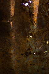 Background and texture of rust iron,Vintage color style.
