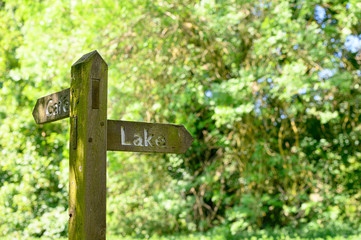 Lake and Cafe old wooden sign post