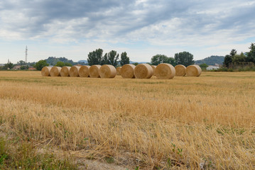 Fardos de paja, pacas de pajao  balas de paja ( bloque de paja, normalmente prensado, que sustituyó en gran medida a la parva como método de preservar alimento para los animales) en el campo en julio