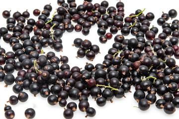 black currant berries on a white background
