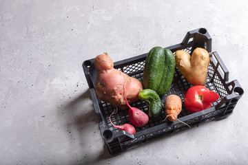 Ripe healthy ugly vegetables in plastic box on grey concrete background.  Vitamins against virus...