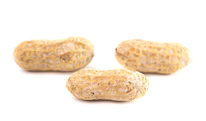 Raw In Shell Peanuts on a White Background