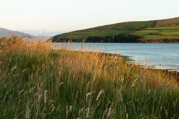 Dingle Bay at sunset