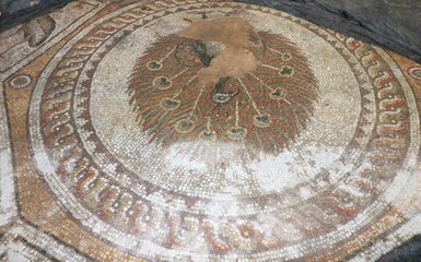 Colourful visions of ancient Rome. Polychrome Roman Mosaics from Bulgaria