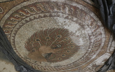 Colourful visions of ancient Rome. Polychrome Roman Mosaics from Bulgaria