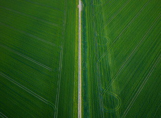 Aerial landscape view of fresh green agricultural fields in springtime. Top down view from above, field path and tractor tracks in geometric shapes.