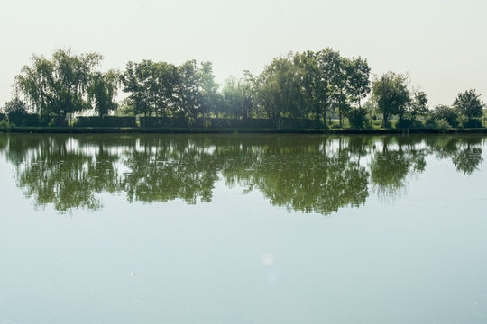 Trees are reflected on the water surface