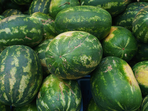 Ripe juicy bright green sweet watermelon. Summer is a time of a healthy lifestyle and tasty fruits and vegetables. Closeup image of tasty harvest in sale on the market at the street.
