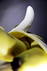 banana tropical fruit