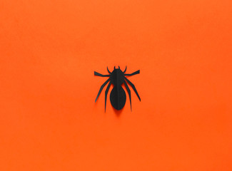 Spider on orange background. Halloween holiday concept. Top view, flat lay