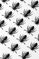 Spiders on white background. Halloween holiday concept. Top view, flat lay and isometric