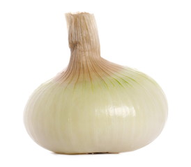 Fresh onion bulb isolated on white background