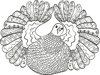 Zentangl dancing bird of paradise. Paradisaeidae. Vector illustration isolated on white background. Coloring