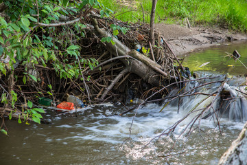 Polluted Olt river with plastic bottles at summertime in Transylvania, Romania.