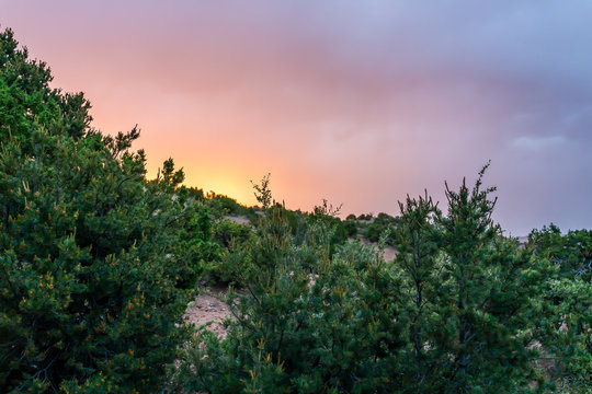 Sunset in Santa Fe, New Mexico mountains in Tesuque community neighborhood with green plants and storm sky clouds