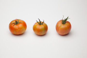 Saludables y bellos tomates, recién traidos del huerto para ser puestos en la mesa o en el mercado.
