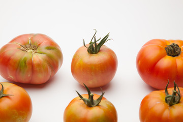 Tomates ecológicos recién cogidos del huerto para ser llevado a la mesa para ser comido ya sea cruzo en zumo o bien cocinado en salsa, mermelada, sofrito, relleno o como acompañamiento