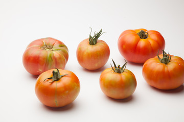 Saludables y bellos tomates, recién traidos del huerto para ser puestos en la mesa o en el mercado.
